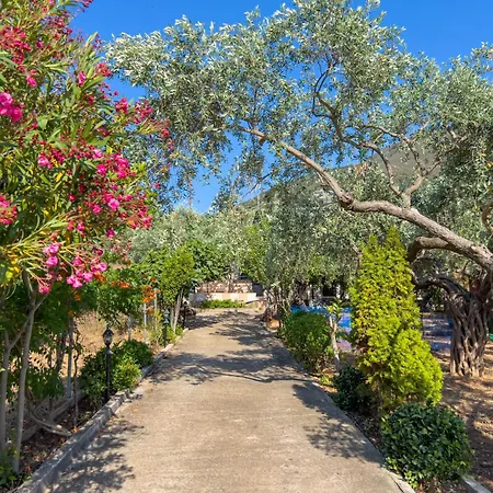 Budget 30-meter-from-beach House Ilios House Διαμέρισμα *